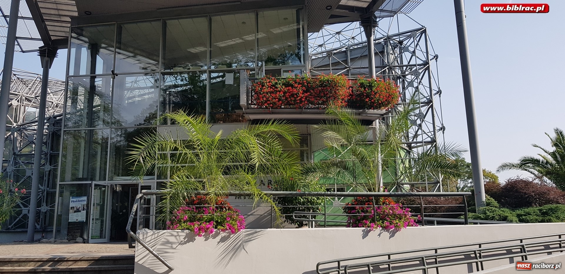 Zdjęcie w galerii na portalu naszraciborz.pl: Klub Przyjaciół Biblioteki na Ostrogu z wizytą w Palmiarni w Gliwicach wiadomości z regionu