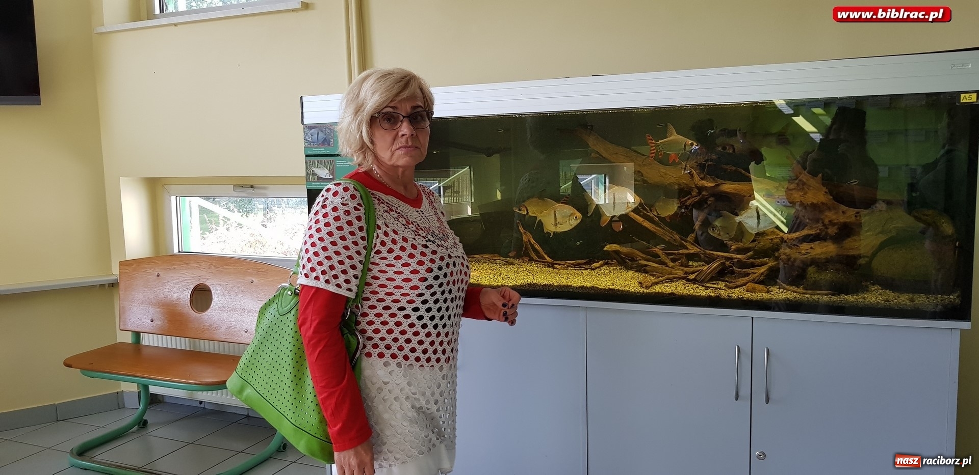 Zdjęcie w galerii na portalu naszraciborz.pl: Klub Przyjaciół Biblioteki na Ostrogu z wizytą w Palmiarni w Gliwicach wiadomości z regionu