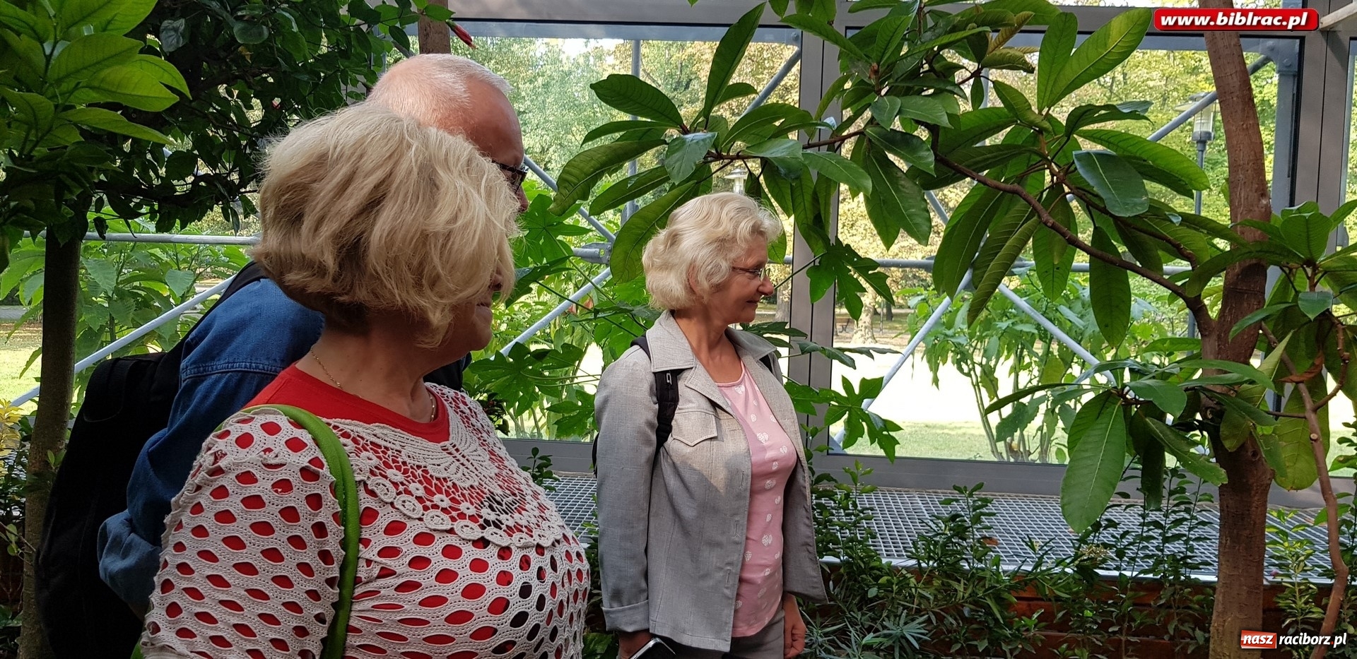 Zdjęcie w galerii na portalu naszraciborz.pl: Klub Przyjaciół Biblioteki na Ostrogu z wizytą w Palmiarni w Gliwicach wiadomości z regionu