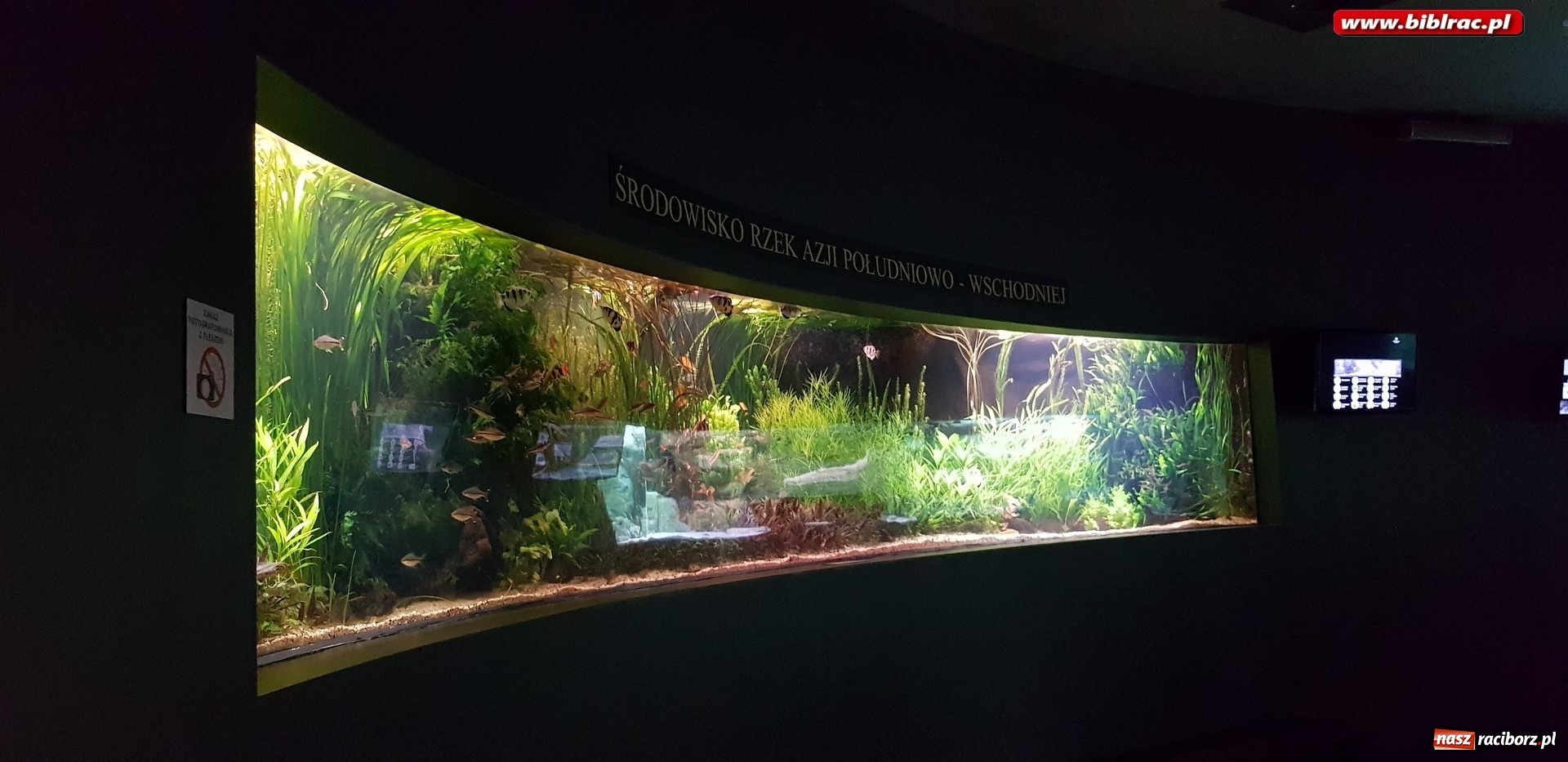 Zdjęcie w galerii na portalu naszraciborz.pl: Klub Przyjaciół Biblioteki na Ostrogu z wizytą w Palmiarni w Gliwicach wiadomości z regionu