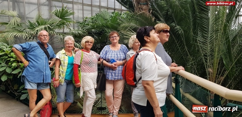Zdjęcie w galerii na portalu naszraciborz.pl: Klub Przyjaciół Biblioteki na Ostrogu z wizytą w Palmiarni w Gliwicach wiadomości z regionu
