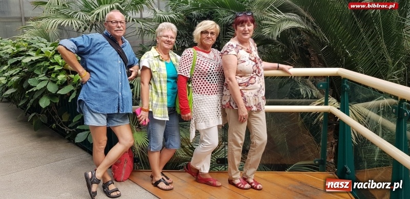 Zdjęcie w galerii na portalu naszraciborz.pl: Klub Przyjaciół Biblioteki na Ostrogu z wizytą w Palmiarni w Gliwicach wiadomości z regionu