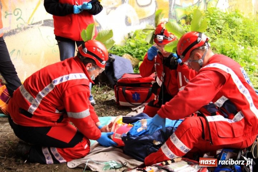 Zdjęcie w galerii na portalu naszraciborz.pl: Spadł z mostu, bo użądliły go pszczoły wiadomości z regionu