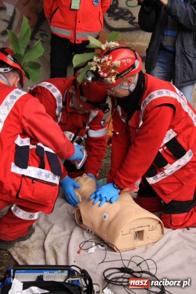 Zdjęcie w galerii na portalu naszraciborz.pl: Spadł z mostu, bo użądliły go pszczoły wiadomości z regionu