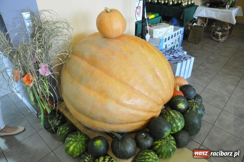 Zdjęcie w galerii na portalu naszraciborz.pl: Działkowcy z rejonu świętowali dziś w Raciborzu  wiadomości z regionu