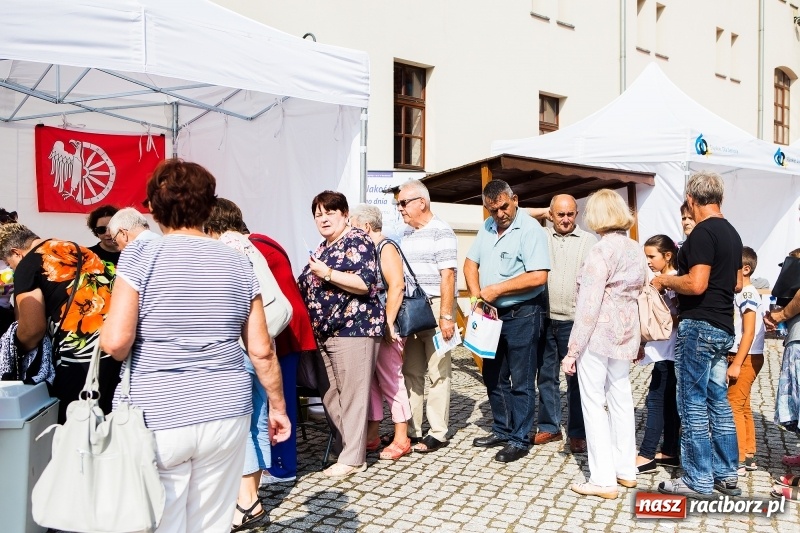 Zdjęcie w galerii na portalu naszraciborz.pl: Śląskie Senioralia tym razem w Raciborzu  wiadomości z regionu