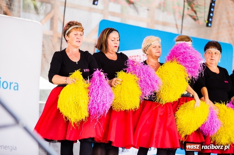 Zdjęcie w galerii na portalu naszraciborz.pl: Śląskie Senioralia tym razem w Raciborzu  wiadomości z regionu