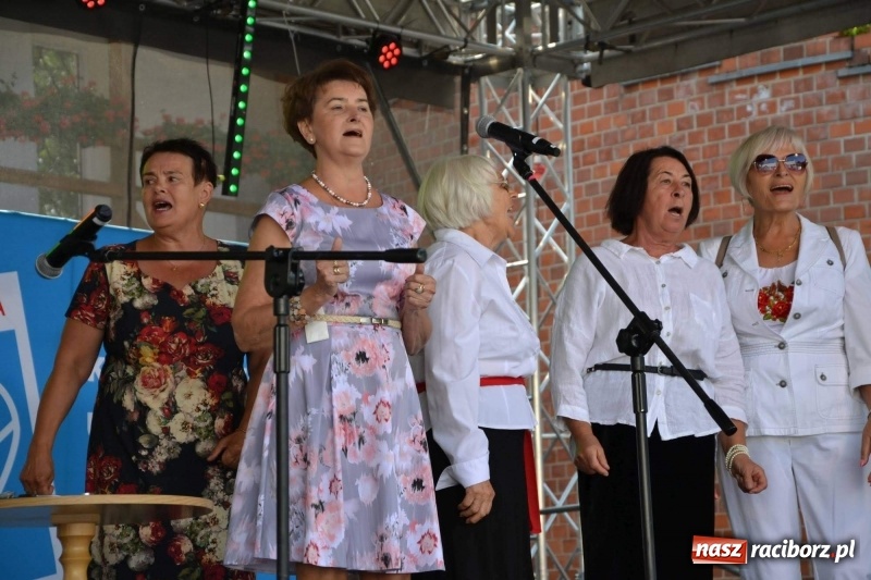 Zdjęcie w galerii na portalu naszraciborz.pl: Śląskie Senioralia tym razem w Raciborzu  wiadomości z regionu