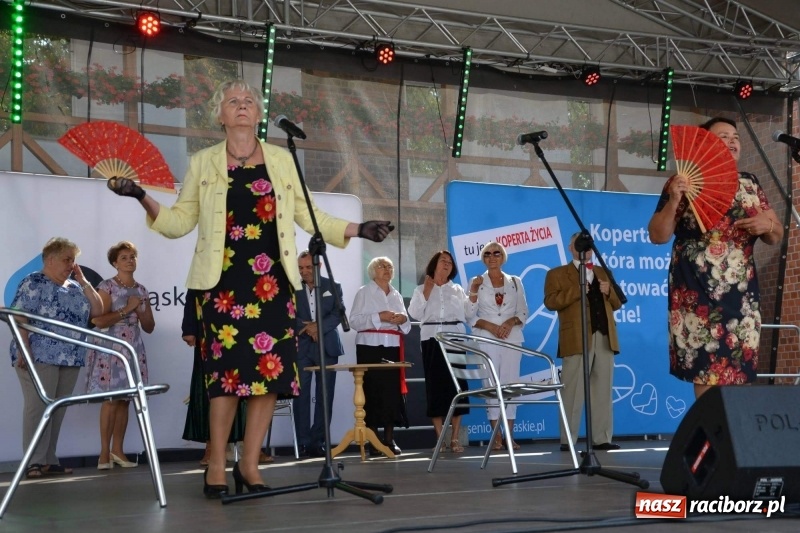 Zdjęcie w galerii na portalu naszraciborz.pl: Śląskie Senioralia tym razem w Raciborzu  wiadomości z regionu