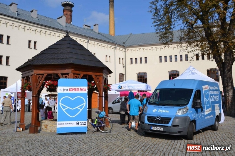 Zdjęcie w galerii na portalu naszraciborz.pl: Śląskie Senioralia tym razem w Raciborzu  wiadomości z regionu