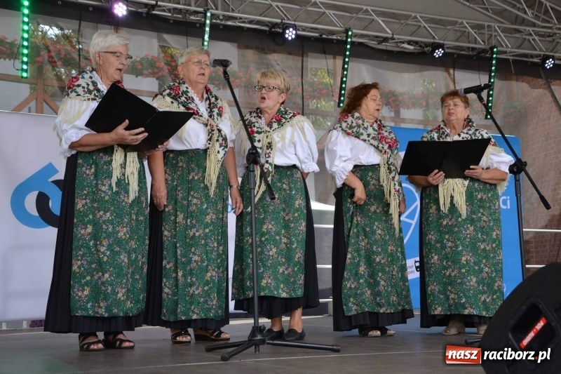 Zdjęcie w galerii na portalu naszraciborz.pl: Śląskie Senioralia tym razem w Raciborzu  wiadomości z regionu