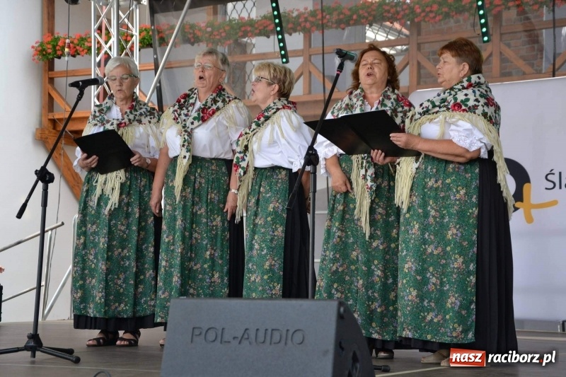 Zdjęcie w galerii na portalu naszraciborz.pl: Śląskie Senioralia tym razem w Raciborzu  wiadomości z regionu
