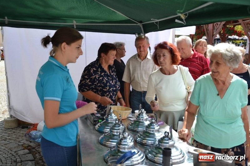 Zdjęcie w galerii na portalu naszraciborz.pl: Śląskie Senioralia tym razem w Raciborzu  wiadomości z regionu