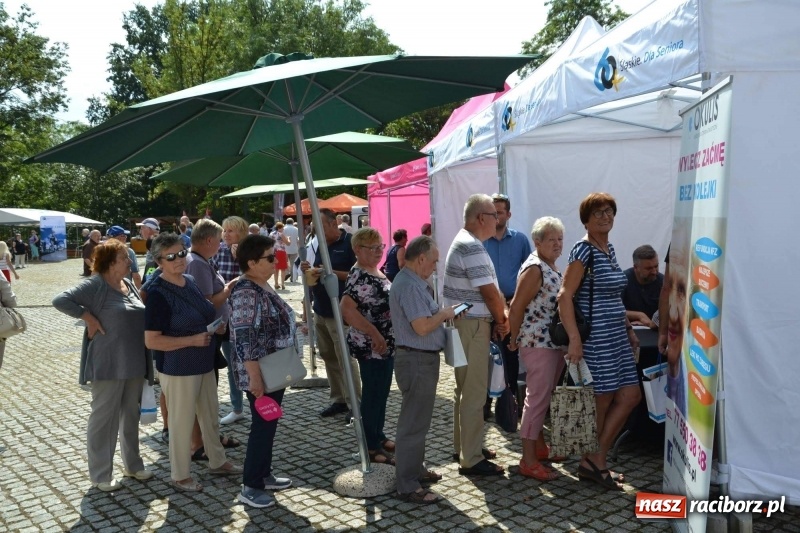 Zdjęcie w galerii na portalu naszraciborz.pl: Śląskie Senioralia tym razem w Raciborzu  wiadomości z regionu