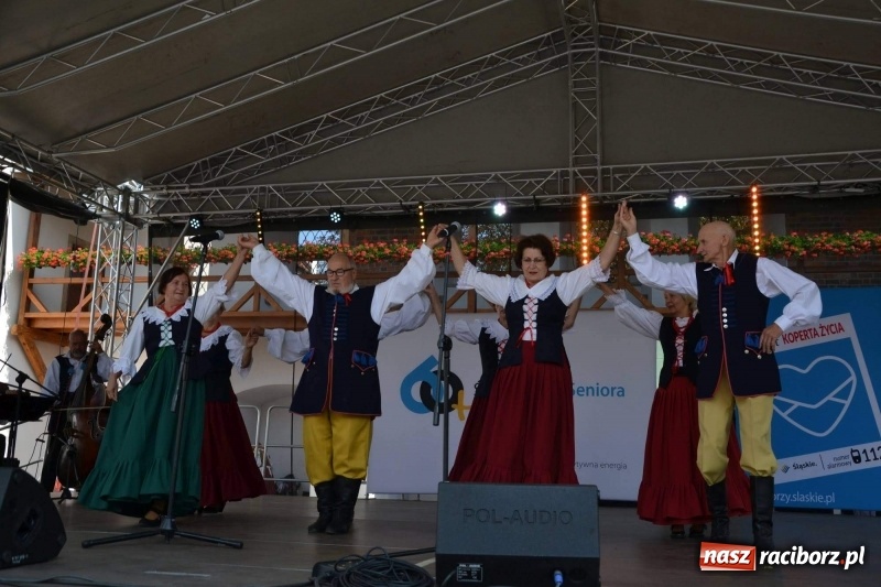 Zdjęcie w galerii na portalu naszraciborz.pl: Śląskie Senioralia tym razem w Raciborzu  wiadomości z regionu