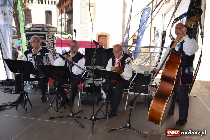 Zdjęcie w galerii na portalu naszraciborz.pl: Śląskie Senioralia tym razem w Raciborzu  wiadomości z regionu