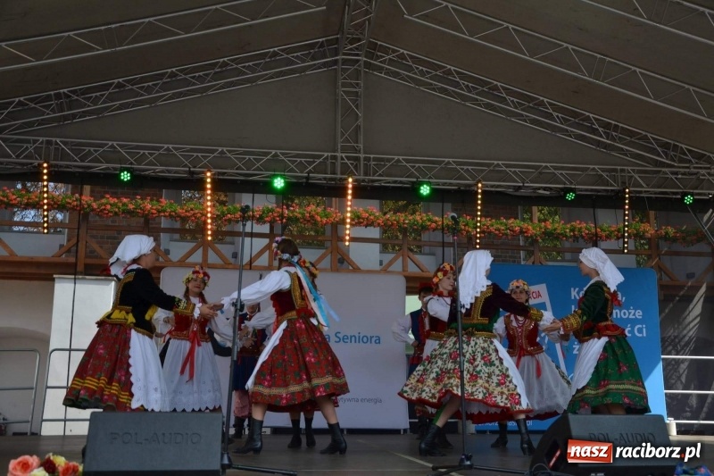 Zdjęcie w galerii na portalu naszraciborz.pl: Śląskie Senioralia tym razem w Raciborzu  wiadomości z regionu