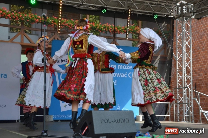 Zdjęcie w galerii na portalu naszraciborz.pl: Śląskie Senioralia tym razem w Raciborzu  wiadomości z regionu