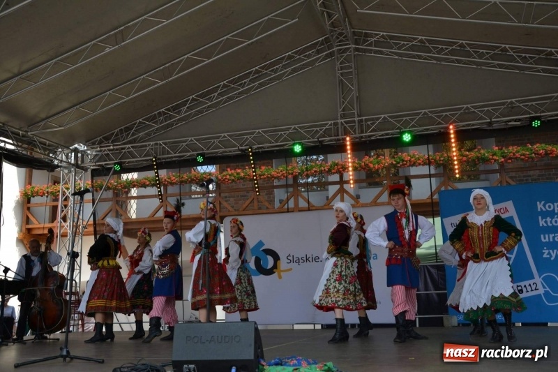 Zdjęcie w galerii na portalu naszraciborz.pl: Śląskie Senioralia tym razem w Raciborzu  wiadomości z regionu