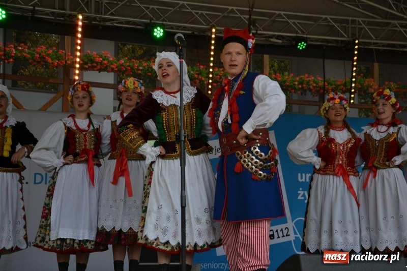 Zdjęcie w galerii na portalu naszraciborz.pl: Śląskie Senioralia tym razem w Raciborzu  wiadomości z regionu