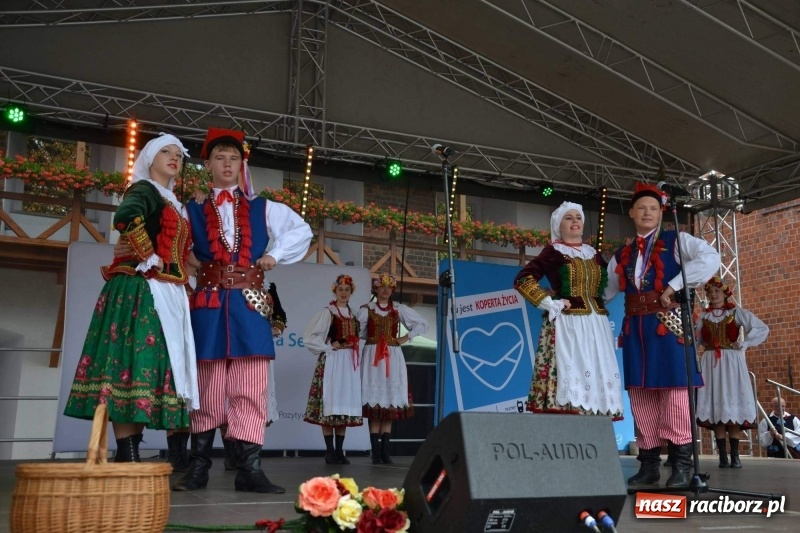 Zdjęcie w galerii na portalu naszraciborz.pl: Śląskie Senioralia tym razem w Raciborzu  wiadomości z regionu