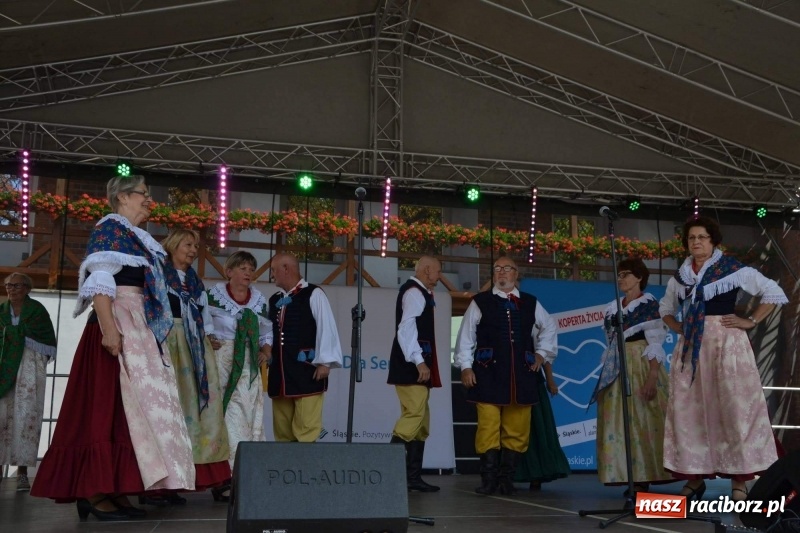 Zdjęcie w galerii na portalu naszraciborz.pl: Śląskie Senioralia tym razem w Raciborzu  wiadomości z regionu