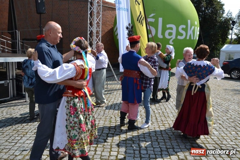 Zdjęcie w galerii na portalu naszraciborz.pl: Śląskie Senioralia tym razem w Raciborzu  wiadomości z regionu