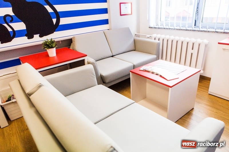 Zdjęcie w galerii na portalu naszraciborz.pl: Strefa rodzica w raciborskim szpitalu już otwarta. Zobaczcie zdjęcia! wiadomości z regionu