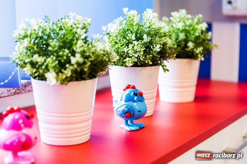 Zdjęcie w galerii na portalu naszraciborz.pl: Strefa rodzica w raciborskim szpitalu już otwarta. Zobaczcie zdjęcia! wiadomości z regionu