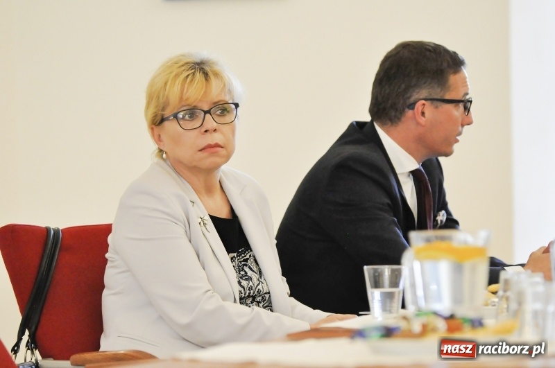 Zdjęcie w galerii na portalu naszraciborz.pl: Budowa obwodnicy Raciborza ma ruszyć wiosną. Docelowo połączenie z A1 przez Rybnik. Zobaczcie wizualizacje wiadomości z regionu