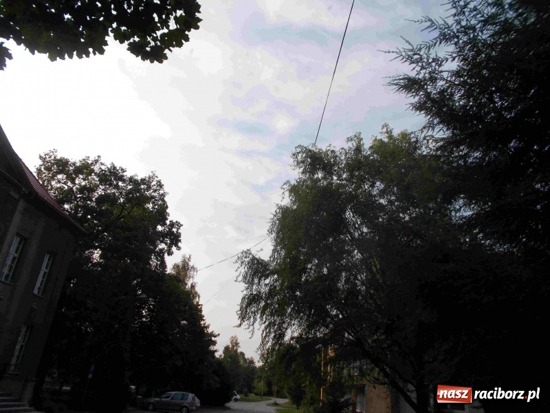 Zdjęcie w galerii na portalu naszraciborz.pl: Ekspedycja Gorzyce. Krótkofalowcy z Raciborza uczcili grafa von Arco  wiadomości z regionu