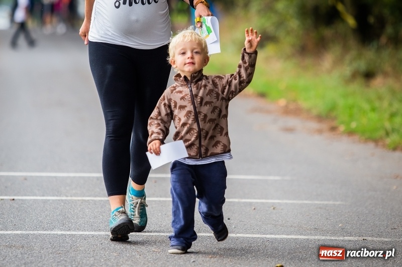 Zdjęcie w galerii na portalu naszraciborz.pl: I Bieg na orientację Morawskie Wrota w Tworkowie wiadomości z regionu