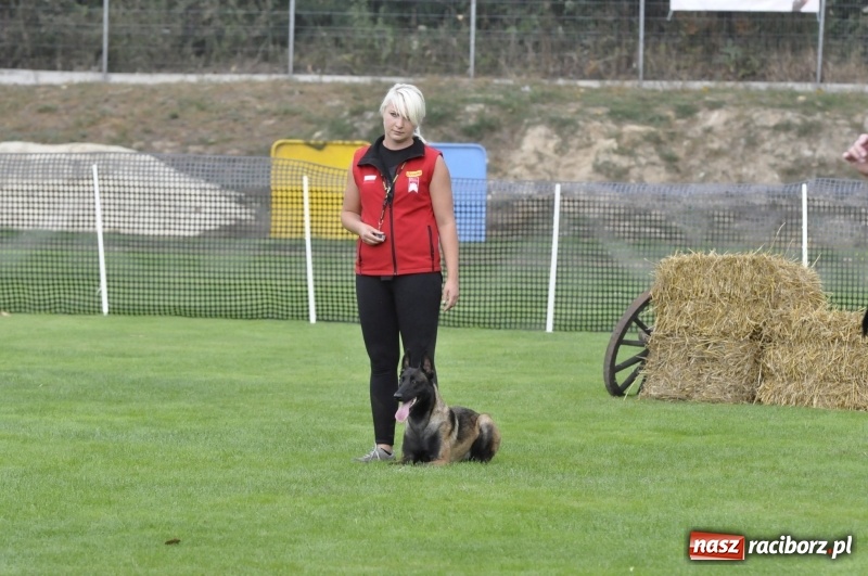 Zdjęcie w galerii na portalu naszraciborz.pl: Miłośnicy psów zjechali do Nędzy. Dwudniowe zmagania w mondioringu  wiadomości z regionu