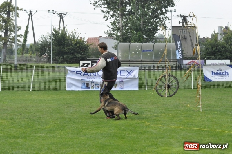 Zdjęcie w galerii na portalu naszraciborz.pl: Miłośnicy psów zjechali do Nędzy. Dwudniowe zmagania w mondioringu  wiadomości z regionu