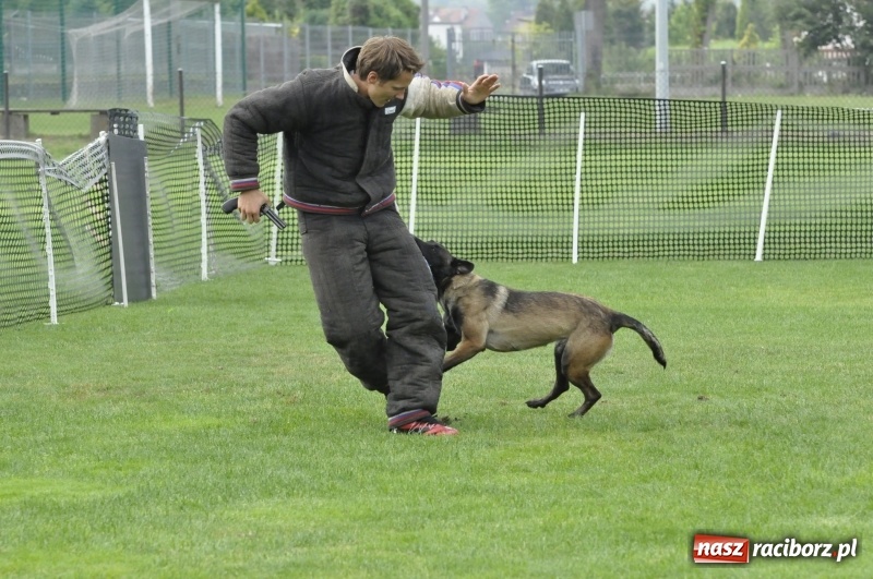 Zdjęcie w galerii na portalu naszraciborz.pl: Miłośnicy psów zjechali do Nędzy. Dwudniowe zmagania w mondioringu  wiadomości z regionu