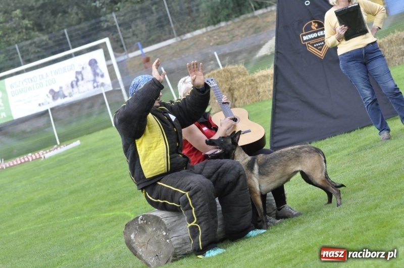 Zdjęcie w galerii na portalu naszraciborz.pl: Miłośnicy psów zjechali do Nędzy. Dwudniowe zmagania w mondioringu  wiadomości z regionu