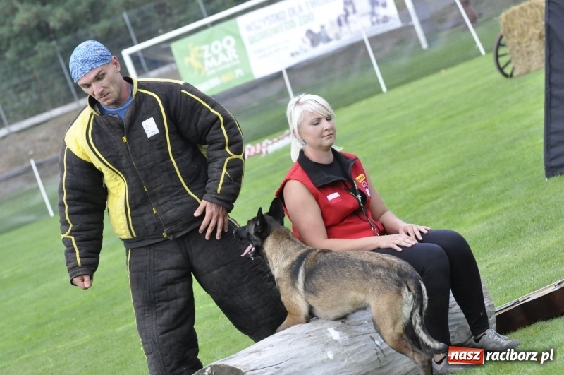 Zdjęcie w galerii na portalu naszraciborz.pl: Miłośnicy psów zjechali do Nędzy. Dwudniowe zmagania w mondioringu  wiadomości z regionu