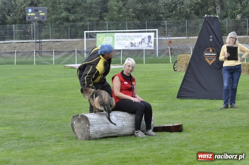 Zdjęcie w galerii na portalu naszraciborz.pl: Miłośnicy psów zjechali do Nędzy. Dwudniowe zmagania w mondioringu  wiadomości z regionu