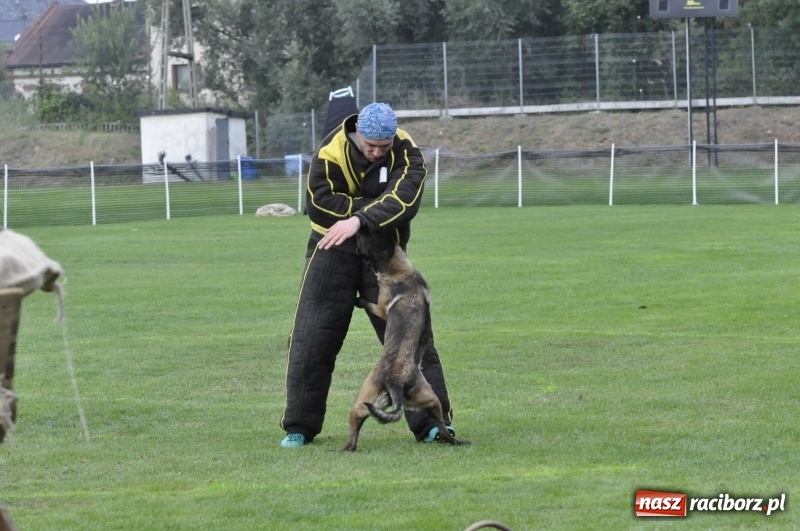 Zdjęcie w galerii na portalu naszraciborz.pl: Miłośnicy psów zjechali do Nędzy. Dwudniowe zmagania w mondioringu  wiadomości z regionu