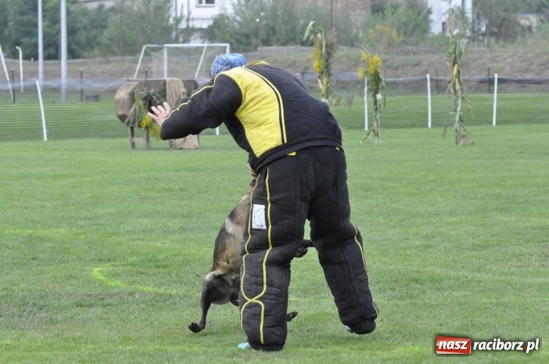 Zdjęcie w galerii na portalu naszraciborz.pl: Miłośnicy psów zjechali do Nędzy. Dwudniowe zmagania w mondioringu  wiadomości z regionu
