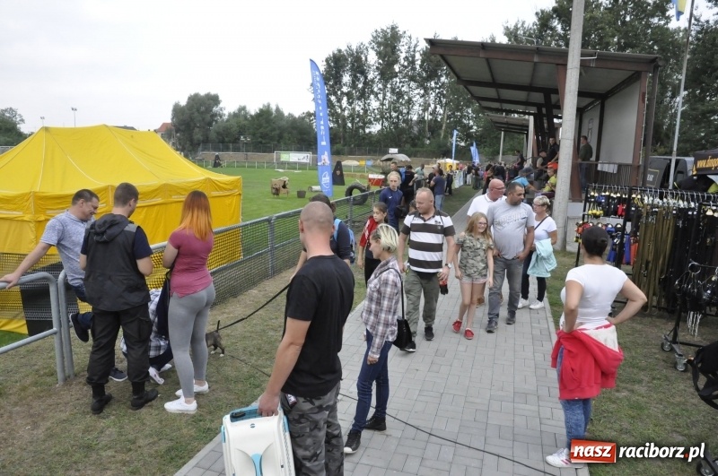 Zdjęcie w galerii na portalu naszraciborz.pl: Miłośnicy psów zjechali do Nędzy. Dwudniowe zmagania w mondioringu  wiadomości z regionu