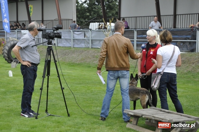 Zdjęcie w galerii na portalu naszraciborz.pl: Miłośnicy psów zjechali do Nędzy. Dwudniowe zmagania w mondioringu  wiadomości z regionu