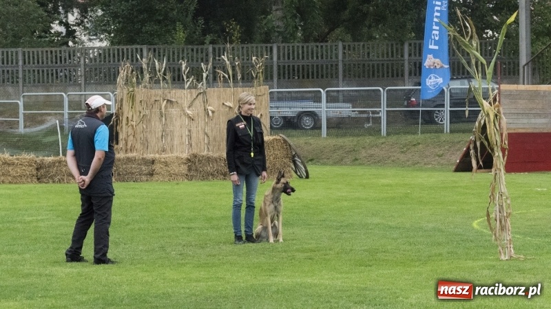 Zdjęcie w galerii na portalu naszraciborz.pl: Miłośnicy psów zjechali do Nędzy. Dwudniowe zmagania w mondioringu  wiadomości z regionu