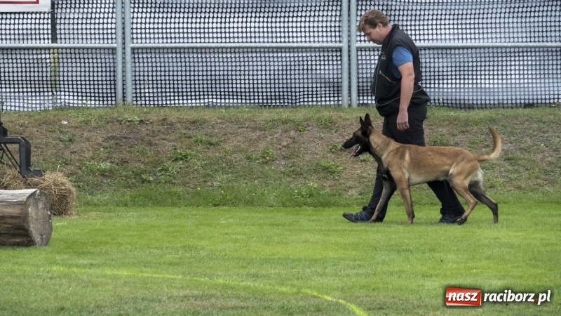 Zdjęcie w galerii na portalu naszraciborz.pl: Miłośnicy psów zjechali do Nędzy. Dwudniowe zmagania w mondioringu  wiadomości z regionu