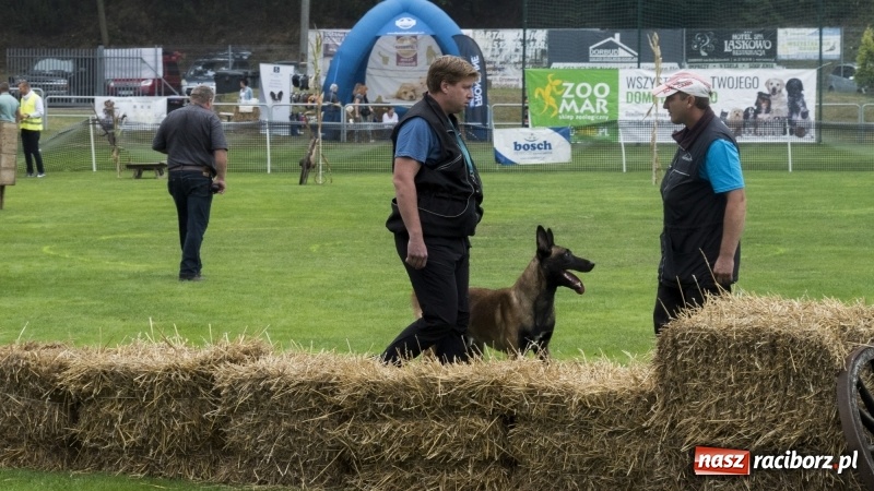 Zdjęcie w galerii na portalu naszraciborz.pl: Miłośnicy psów zjechali do Nędzy. Dwudniowe zmagania w mondioringu  wiadomości z regionu