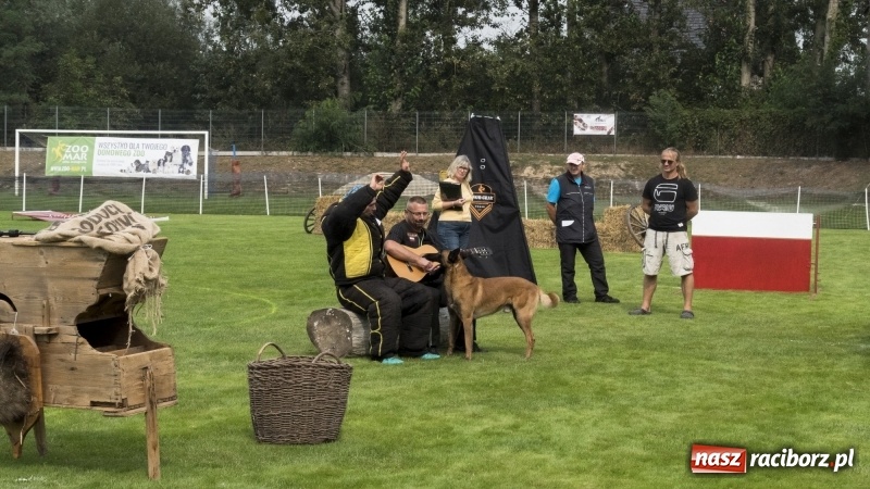 Zdjęcie w galerii na portalu naszraciborz.pl: Miłośnicy psów zjechali do Nędzy. Dwudniowe zmagania w mondioringu  wiadomości z regionu