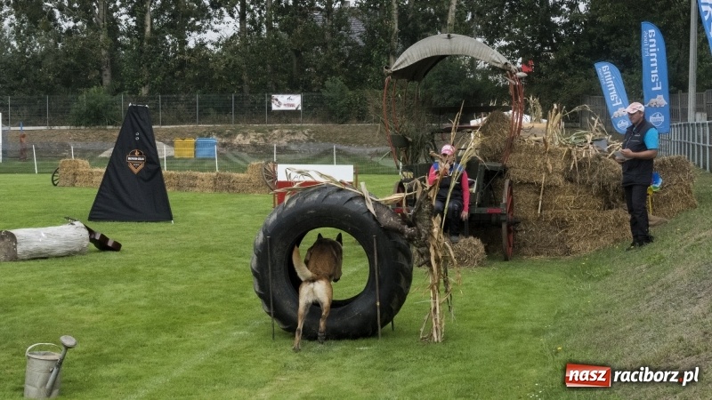 Zdjęcie w galerii na portalu naszraciborz.pl: Miłośnicy psów zjechali do Nędzy. Dwudniowe zmagania w mondioringu  wiadomości z regionu