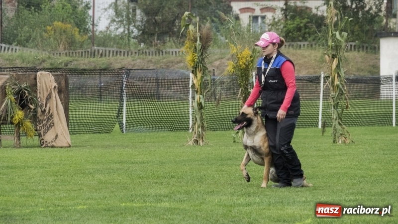 Zdjęcie w galerii na portalu naszraciborz.pl: Miłośnicy psów zjechali do Nędzy. Dwudniowe zmagania w mondioringu  wiadomości z regionu
