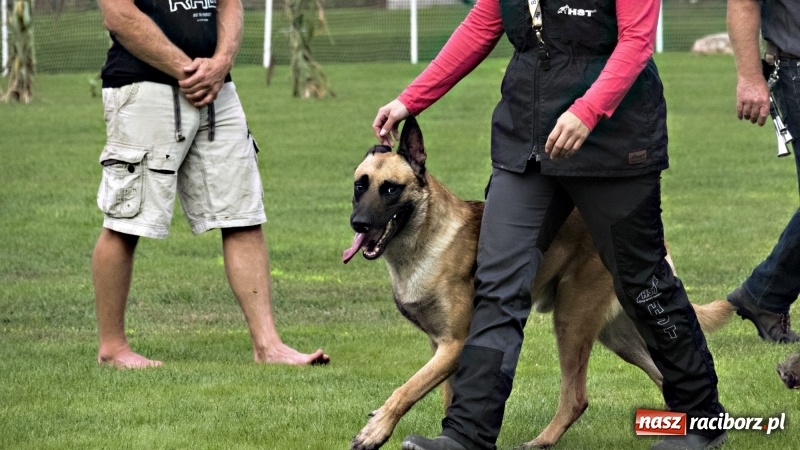Zdjęcie w galerii na portalu naszraciborz.pl: Miłośnicy psów zjechali do Nędzy. Dwudniowe zmagania w mondioringu  wiadomości z regionu