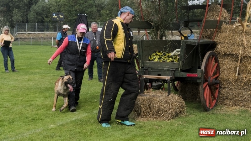 Zdjęcie w galerii na portalu naszraciborz.pl: Miłośnicy psów zjechali do Nędzy. Dwudniowe zmagania w mondioringu  wiadomości z regionu